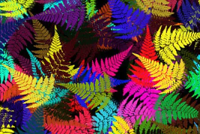colorful fern leaves