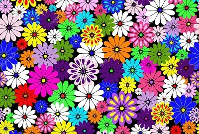 colorful flowers