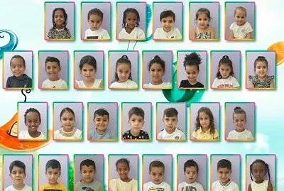 גן ארז