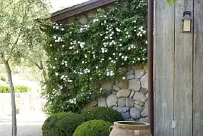 cantinho jigsaw puzzle