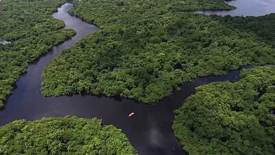 Viviane Lacerda Lacerda