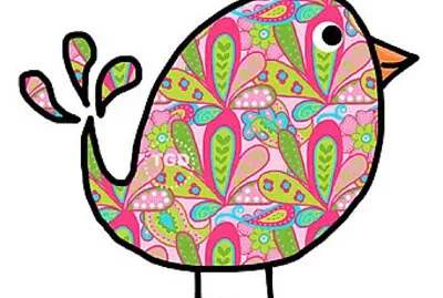 Paisley Birdie