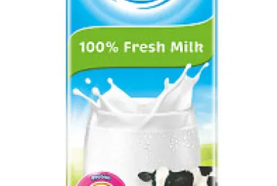 Puzzle jigsaw puzzle