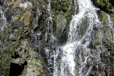 Arroyo Laureles jigsaw puzzle