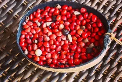 CENÁRIO K657 jigsaw puzzle