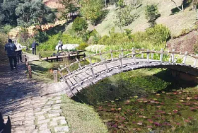 Roça