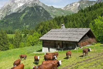 Ferme d 'alpage Savoie
