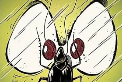 SELECAO NATURAL - MARCATTI jigsaw puzzle