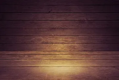 Toy