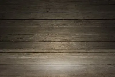Toy