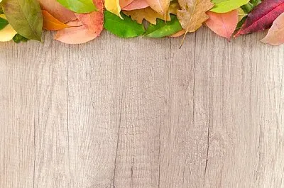 Toy jigsaw puzzle