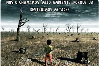 Impactos ambientais e sustentabilidade