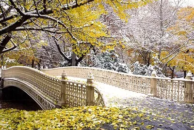 paisagem linda