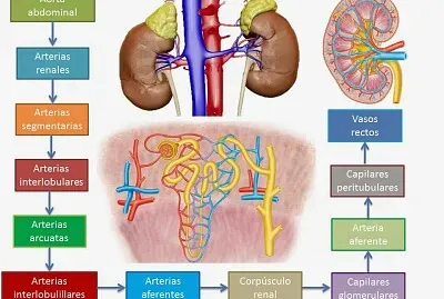 פאזל של Arma tu Rompecabezas