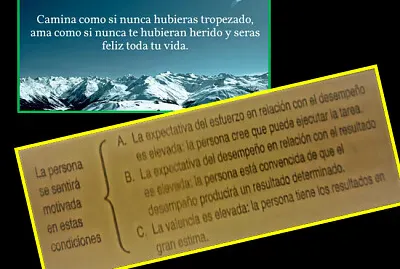 teoría de las expectativas