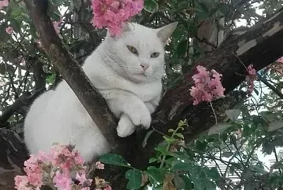 202