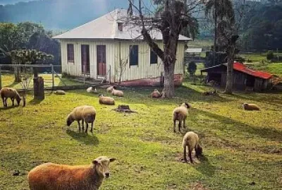 fazenda