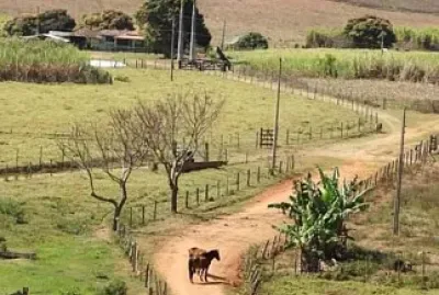 Roça