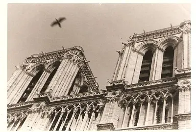 1975 Notre Dame, París