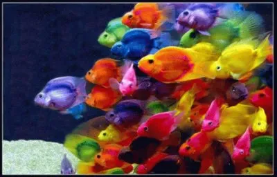 NEON jigsaw puzzle