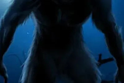 Lobo