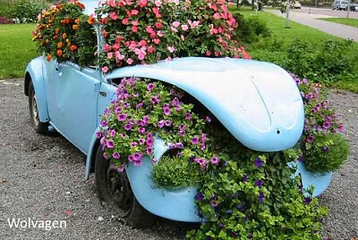 Wolvagen fleurie