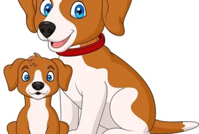 פאזל של anim49