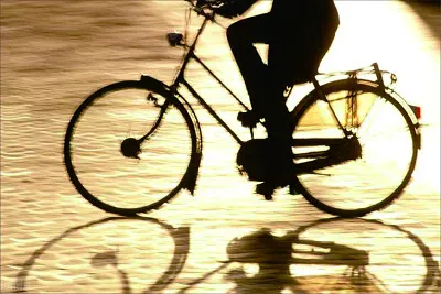 無題 jigsaw puzzle