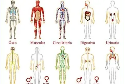 פאזל של collage