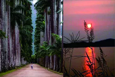 風景 jigsaw puzzle