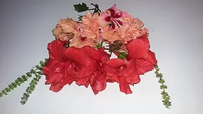 Flores jigsaw puzzle