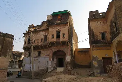 habitat jigsaw puzzle