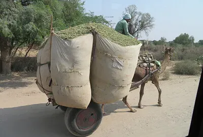 moyen de locomotion 2