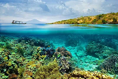 Half-underwater with boat