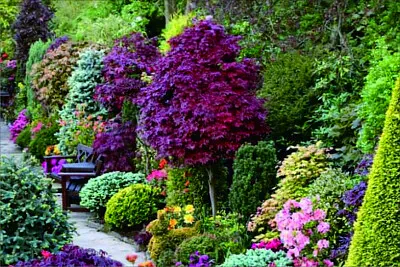 風景 jigsaw puzzle