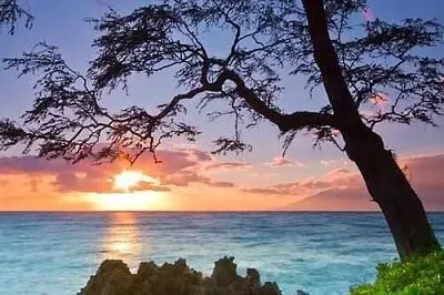 風景
