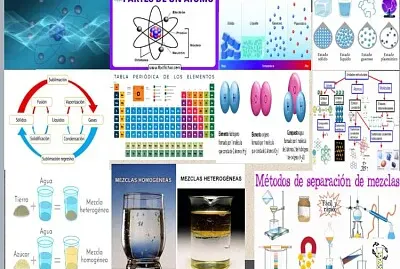 PRODUCTO COMPETENCIAL DAHIAN