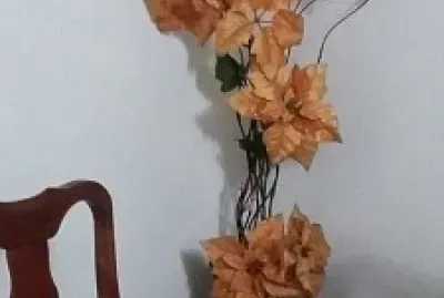 Generales jigsaw puzzle