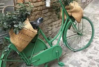 bicicletta floreale verde