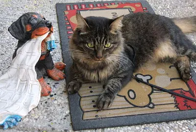 ty e il suo cagnolino jigsaw puzzle