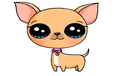 Les gustan los chiguaguas??