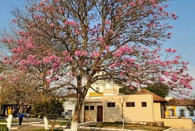 Praça Prefeito Luiz Chaves Martins