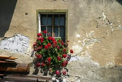 Foto jigsaw puzzle