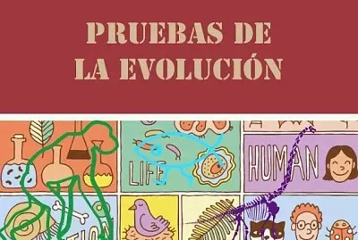 PRUEBAS DE LA EVOLUCIÓN