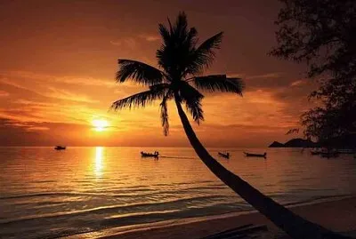 hermoso paisaje de un atardecer en la playa