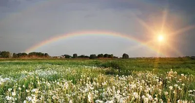 Puzzle jigsaw puzzle