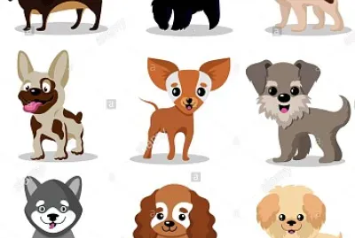 anim69 jigsaw puzzle