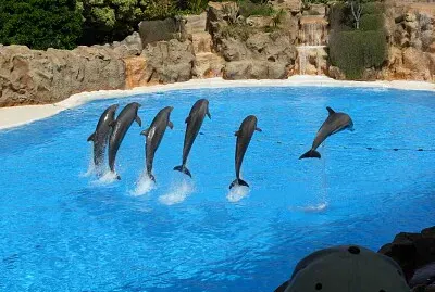 Loro parque