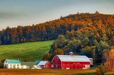 Casa na estrada jigsaw puzzle