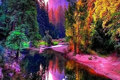 Woodland mountain